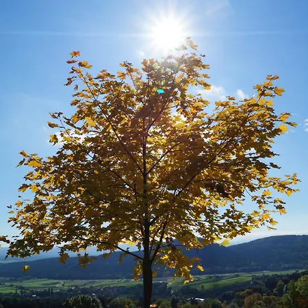 Haus Bergblick Maiersdorf