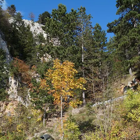 Haus Bergblick Affittacamere 3*