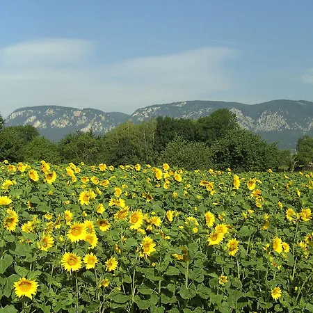 Haus Bergblick 3* Maiersdorf