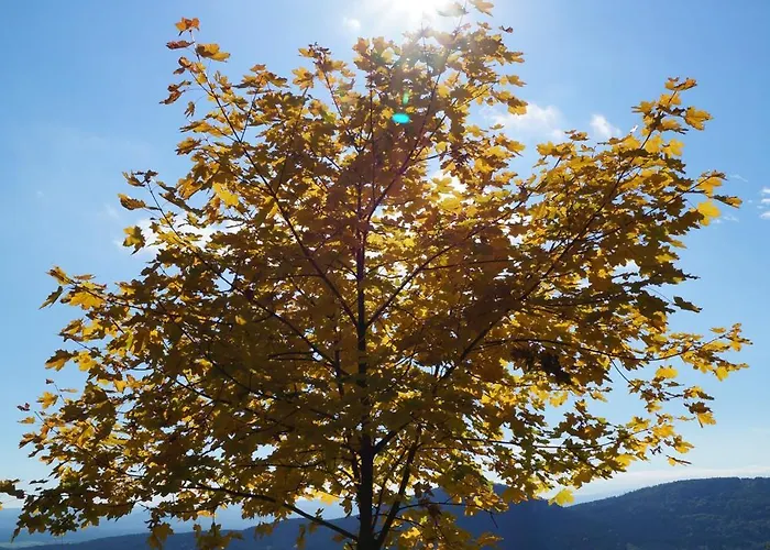 Haus Bergblick Maiersdorf