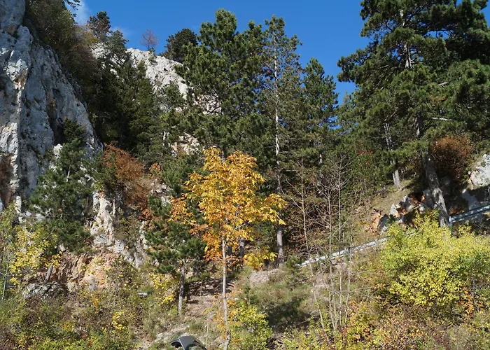 Haus Bergblick Gasthof 3*