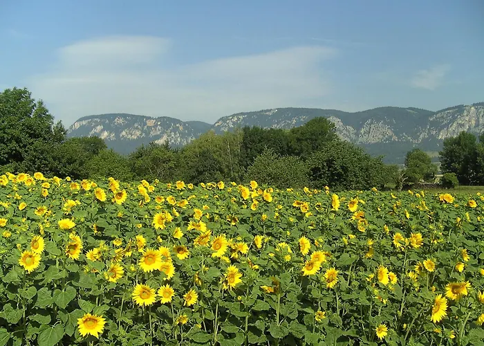Haus Bergblick 3* Maiersdorf
